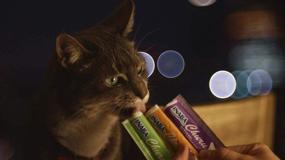 img 2 attached to 🐱 Delicious INABA Churu Tuna Recipe Lickable Purée Cat Treats - 12 Tubes of Natural Goodness