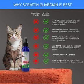 img 1 attached to Natural Cat Deterrent Spray for Scratching - 4oz Non-Toxic Anti-Scratch Cat Spray - Safeguard Your Furniture, Carpet, and Plants - Ideal No Scratch Spray for Cats - Made in the USA