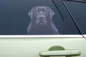 img 3 attached to Doggie Window Truck Window Decal Exterior Accessories