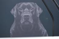 doggie window truck window decal exterior accessories logo