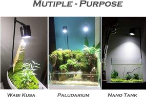 img 1 attached to 🐠 Hiro Aquatics LED Aquarium Light: Full Spectrum COB LED Spotlight for Planted Aquariums, Small Tanks, Wabikusa, Terrariums, Paludariums