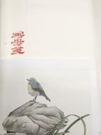 🎨 easyou sumi paper: premium xuan paper for chinese & japanese meticulous-style painting - 33cmx66cm - 50 sheets logo