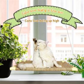 img 1 attached to 🐈 New Release: PETPAWJOY Cat Window Perch - Ultimate Safety and Comfort for Large Fat Cats or Double Cats (Up to 50lbs)