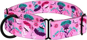 img 2 attached to CollarDirect Martingale Collars for Dogs - Heavy Duty Floral Pattern Female Safety 🌸 Training Wide Collar in Flower Design - Large Medium Sizes, Made with Durable Nylon