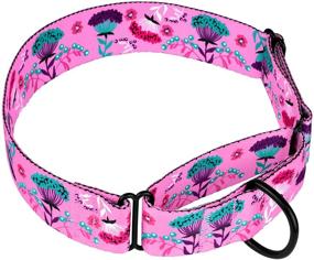 img 3 attached to CollarDirect Martingale Collars for Dogs - Heavy Duty Floral Pattern Female Safety 🌸 Training Wide Collar in Flower Design - Large Medium Sizes, Made with Durable Nylon