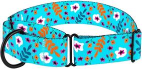 img 1 attached to CollarDirect Martingale Collars for Dogs - Heavy Duty Floral Pattern Female Safety 🌸 Training Wide Collar in Flower Design - Large Medium Sizes, Made with Durable Nylon