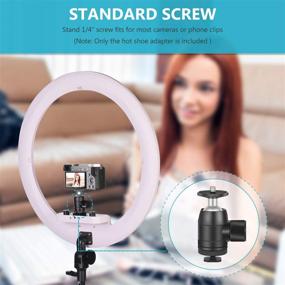 img 1 attached to 📷 Neewer Mini Ball Head: 360° Rotatable Tripod Head with 1/4 inch Screw, Lock, Hot Shoe Mount Adapter - Ideal for LED Light, Ring Light, Camera, Tripod, Monopod, Slider - Supports up to 6.6 pounds/3 kilograms