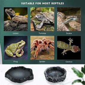 img 3 attached to 🦎 Set of 3 Reptile Water and Food Dishes: Includes 2 Resin Rock Bowls for Feeding and Watering + 1 Feeding Tweezer Tong - Ideal for Pet Tortoise, Lizard, Frog, Gecko, Snake, and Chameleon