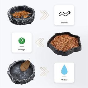 img 2 attached to 🦎 Set of 3 Reptile Water and Food Dishes: Includes 2 Resin Rock Bowls for Feeding and Watering + 1 Feeding Tweezer Tong - Ideal for Pet Tortoise, Lizard, Frog, Gecko, Snake, and Chameleon