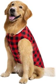 img 3 attached to 🧥 Stay Warm and Dry with Miaododo Waterproof Puppy Dog Winter Coat: Fleece Lined, Extra Warm Pet Jacket for Small to Medium Dogs - Perfect Cold Weather Apparel for Cats and Dogs!