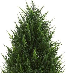 img 2 attached to 🌲 Authentic Nearly Natural Artificial Cypress Tower Tree | UV Resistant Indoor/Outdoor Greenery, 3 feet