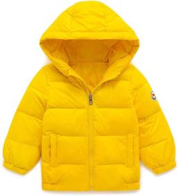 img 4 attached to Simplee Lightweight Water Resistant Packable Windproof Boys' Clothing