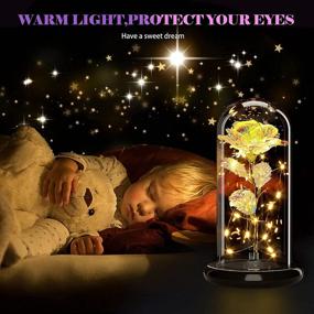 img 2 attached to Eternal Glass Rose Flower Gifts with LED Decoration, Exquisite Glass Dome Presentation, Exceptional Gifts for Her: Wife, Valentine's Day, Wedding, Graduation, Mother's Day, Birthday, Christmas (Gold)