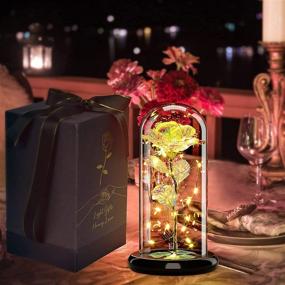 img 1 attached to Eternal Glass Rose Flower Gifts with LED Decoration, Exquisite Glass Dome Presentation, Exceptional Gifts for Her: Wife, Valentine's Day, Wedding, Graduation, Mother's Day, Birthday, Christmas (Gold)