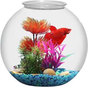 img 3 attached to 🐠 Enhance Your Aquatic World: Koller Products 3-Gallon Fish Bowl