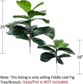 img 3 attached to 🌿 Realistic Artificial Fiddle Leaf Fig Tree Twig - Perfect Faux Ficus Lyrata for Indoor and Outdoor Decoration - Green (2 Branches, 25+16 inch)