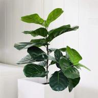 🌿 realistic artificial fiddle leaf fig tree twig - perfect faux ficus lyrata for indoor and outdoor decoration - green (2 branches, 25+16 inch) логотип