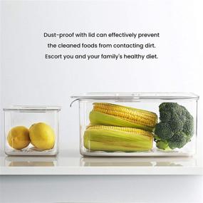 img 3 attached to 🥦 Vacane Vegetable Fruit Storage Containers: Fresh Produce Saver with Lids and Vents - 3 Piece Set for Refrigerator or Easy Carry - BPA-free Stay Fresh Containers - 5.7L/1.7L/1.7L