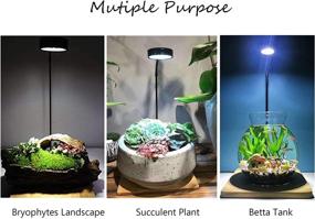 img 3 attached to 🌱 Optimized Full Spectrum LED Light on Bamboo Board - Ideal for Aquarium Nano Tank, Betta Fish Tank, Potted Plants, Succulent, Miniature Landscape
