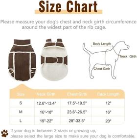 img 3 attached to 🐶 Warm and Cozy: BINGPET Dog Winter Coat for Cold Weather - Windproof Fleece Lined Outfit for Dogs - Perfect Pet Apparel Jacket for Small Medium Large Dogs