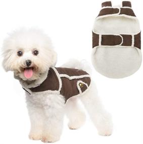 img 4 attached to 🐶 Warm and Cozy: BINGPET Dog Winter Coat for Cold Weather - Windproof Fleece Lined Outfit for Dogs - Perfect Pet Apparel Jacket for Small Medium Large Dogs