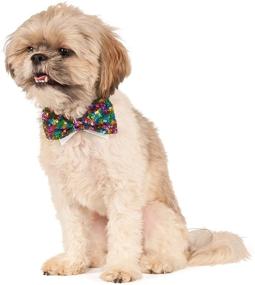 img 2 attached to 🌈 Vibrant and Stylish: Rubie's Costume Company Rainbow Sequins Pet Bowtie