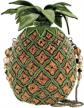 mary frances pineapple beaded crossbody logo