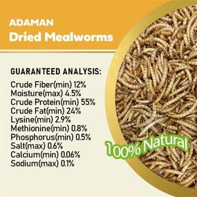 img 3 attached to 🐛 Premium Adaman Dried Mealworms - 5 LBS - 100% Natural Non-GMO High Protein Mealworms - Bulk Wild Bird, Chicken, Hamster, Gecko, Turtle, Lizard Food