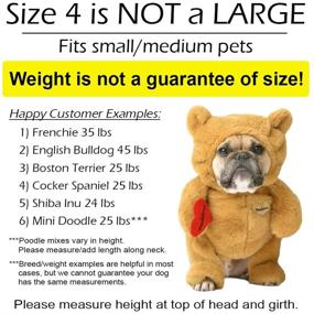 img 3 attached to 🐼 Pandaloon Teddy Bear Dog and Pet Costume Set: The Adorable Walking Teddy Bear with Arms as Featured on Shark Tank (Size 4, Teddy Bear - Brown)