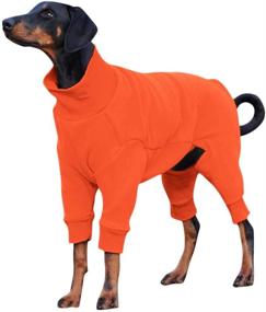 img 2 attached to Esobo Apparel Autumn Winter Sweaters Dogs for Apparel & Accessories