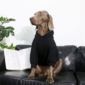 img 2 attached to Flutnel Stylish Dog Hoodie: Trendy Streetwear Cotton Sweatshirt for Dogs, Cats & Puppies of all Sizes