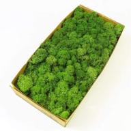 1.1lb preserved reindeer moss natural green: ideal for terrariums, 🌿 gardening art, wall decor, florist designs, easter & wedding decor - green-02 logo