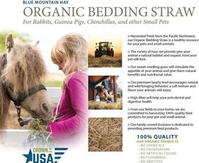 img 4 attached to 🌱 Fresh Blue Mountain Hay Organic Bedding Straw for Guinea Pigs, Chinchillas, Rabbits, Hamsters, Chickens, Cats, and Small Pet Shelters - Delivered Straight from the Farm!