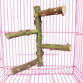 img 2 attached to 🐦 Natural Wood Prickly Bird Stand- PINVNBY Parrot Perch with Conure Branch for Small-Medium Parrot Budgies, Parakeet, Cockatiel, Cockatoo- Ideal for Paw Grinding, Cage Accessory