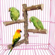 🐦 natural wood prickly bird stand- pinvnby parrot perch with conure branch for small-medium parrot budgies, parakeet, cockatiel, cockatoo- ideal for paw grinding, cage accessory logo