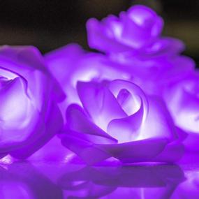 img 1 attached to 🌹 Outdoor 20 Led Battery Operated String Romantic Rose Flower Fairy Light Lamp for Valentine's Day, Wedding, Room, Garden, Christmas, Patio, Festival Party Decor (Purple)