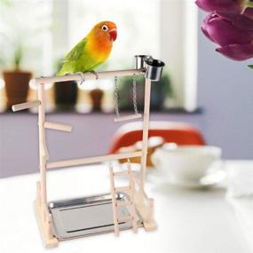 img 2 attached to 🪵 Wood Perch Gym Stand Training Ladder with Feeders and Toys - Ideal Playground for Hamiledyi Parakeets, Cockatiels, Lovebirds, Parrots, and Finches