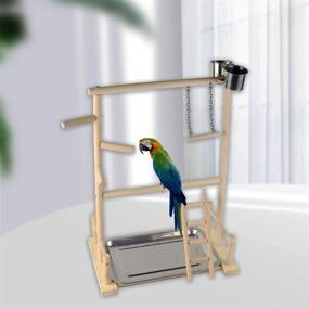 img 3 attached to 🪵 Wood Perch Gym Stand Training Ladder with Feeders and Toys - Ideal Playground for Hamiledyi Parakeets, Cockatiels, Lovebirds, Parrots, and Finches