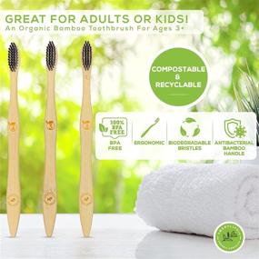 img 1 attached to 🌿 12 Pack of Charcoal Bamboo Toothbrushes - Natural Extra Soft Bristles, Biodegradable Bulk Toothbrush Set, Compostable Eco Friendly Wooden Toothbrush for Adults &amp; Kids, BPA Free, Organic &amp; Zero Waste