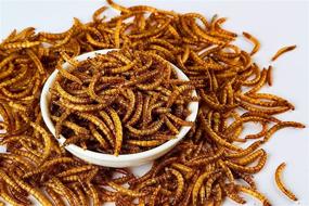 img 3 attached to 🦎 10lbs Premium Non-GMO Dried Mealworms for Reptiles, Tortoises, Amphibians, Lizards, Wild Birds, Chickens, Ducks, and More