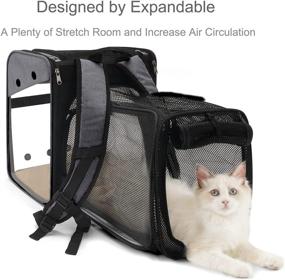 img 3 attached to GAPZER Expandable Cat Backpack Carrier for Small Dogs and Cats - Pet Travel Carrier Backpack for Dog Hiking, Holds Pets Up to 20 lbs