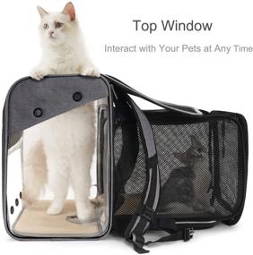 img 2 attached to GAPZER Expandable Cat Backpack Carrier for Small Dogs and Cats - Pet Travel Carrier Backpack for Dog Hiking, Holds Pets Up to 20 lbs