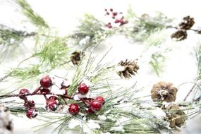 img 3 attached to Enhance Your Winter Decor with CraftMore Smokey Pine Christmas Garland: Snow, Berries, and Pine Cones