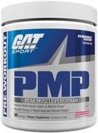 🍇 gat sport pmp raspberry lemonade: boost muscle performance - 30 servings logo