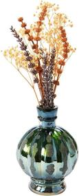 img 1 attached to 🌺 Creative Co-Op Embossed Glass, Green Iridescent Finish Vase - Elegant Home Decor and Stunning Floral Display