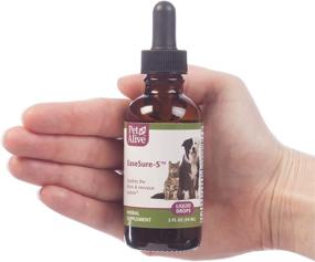 img 1 attached to 🐾 Discover the Potent PetAlive EaseSure Product Line for Optimum Pet Relaxation