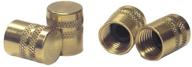 pack of 6 robinair 40572 1/4 inch quick seal adapter solid brass caps – enhanced for seo logo