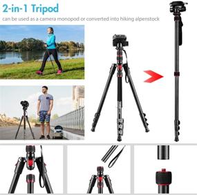 img 3 attached to 📷 Andoer 2-in-1 Photography Tripod Monopod Stand: Compact & Versatile for DSLR Cameras/Camcorders - 360° Rotatable Ball Head, 5kg Load Capacity, Aluminium Alloy - Includes Carry Bag (Max. 200cm)