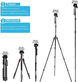 img 1 attached to 📷 Andoer 2-in-1 Photography Tripod Monopod Stand: Compact & Versatile for DSLR Cameras/Camcorders - 360° Rotatable Ball Head, 5kg Load Capacity, Aluminium Alloy - Includes Carry Bag (Max. 200cm)