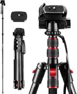 📷 andoer 2-in-1 photography tripod monopod stand: compact & versatile for dslr cameras/camcorders - 360° rotatable ball head, 5kg load capacity, aluminium alloy - includes carry bag (max. 200cm) logo
